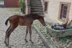 IMG-20240403-WA0001