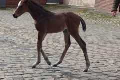 IMG-20240403-WA0004