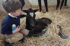 IMG-20240403-WA0018