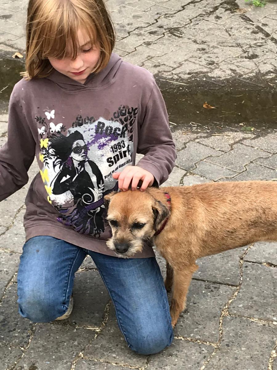 Fenna und Peppa, unser neugieriger Border Terrier der gerne auch  mal ausbüxt